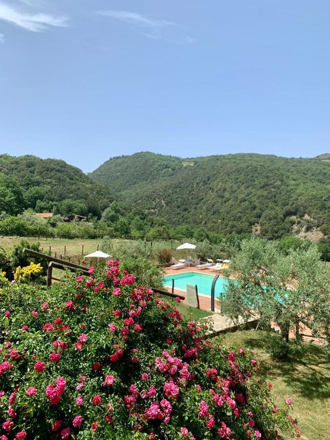 Podere Le Mulina Castiglione dʼOrcia Buitenkant foto