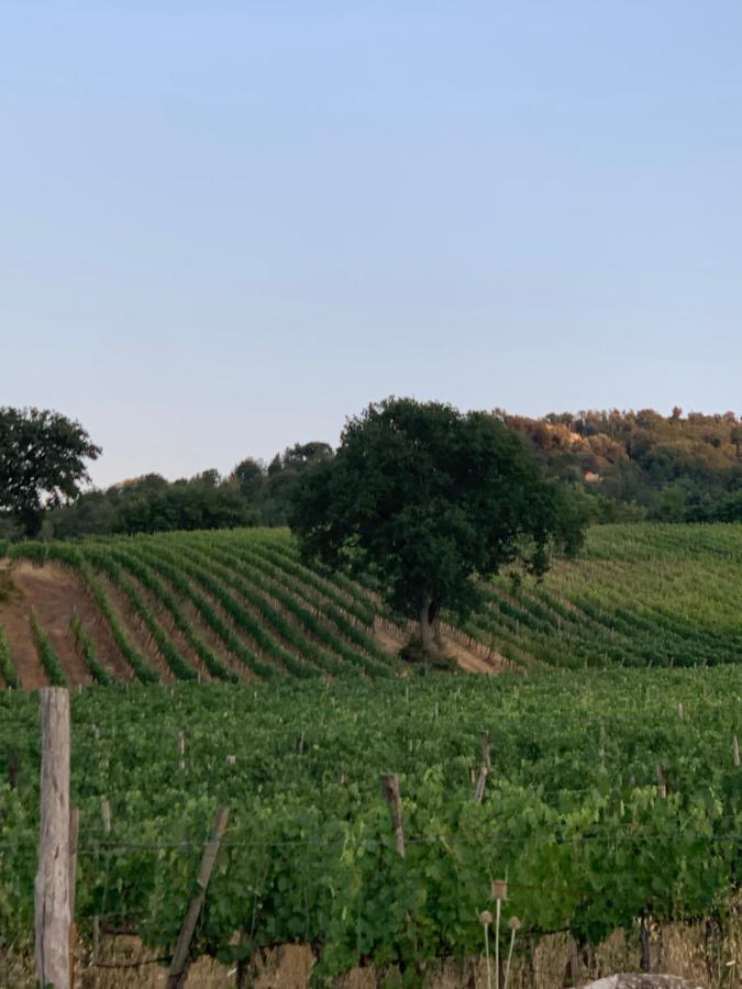 Podere Le Mulina Castiglione dʼOrcia Buitenkant foto